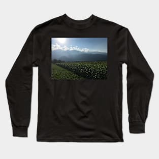 Mountains bathed in sunlight and mist Long Sleeve T-Shirt